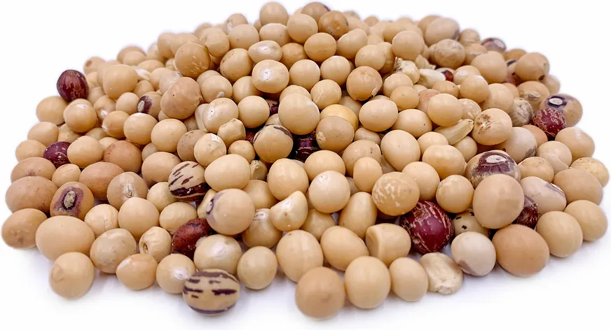 [EEQ020] Blackeye Beans (4 kg)